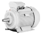 electric motor 2LC
