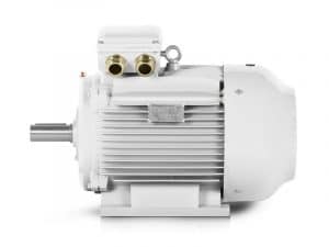 Motor elétrico industrial 30kW 1LC-200L1-2